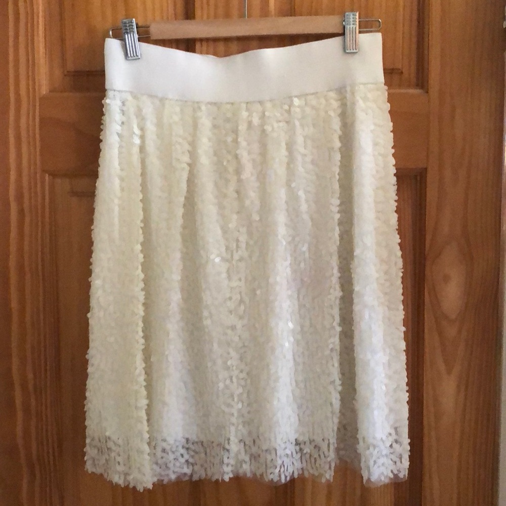 Winter white matte sequin skirt